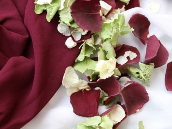 Petals & Roses