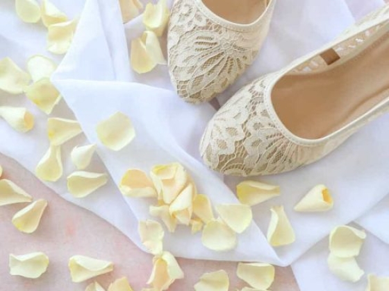 Petals & Roses