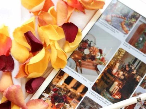 Petals & Roses