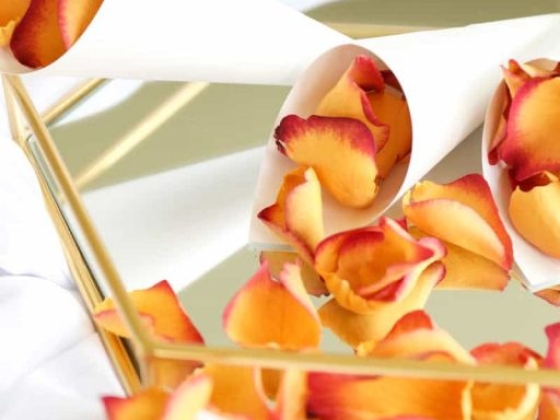 Petals & Roses