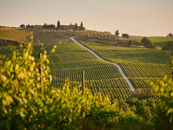 Luxury Destination Weddings in Italy: An Unforgettable Experience