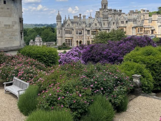 Harlaxton Manor
