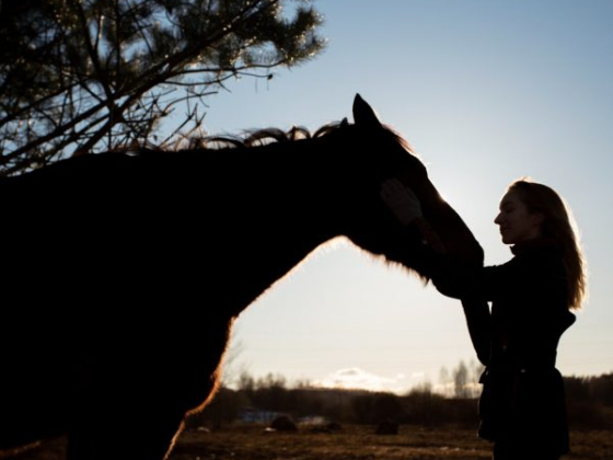 Podere Castellare - Eco Resort In Tuscany