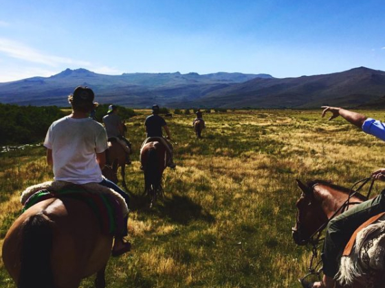 Podere Castellare - Eco Resort In Tuscany