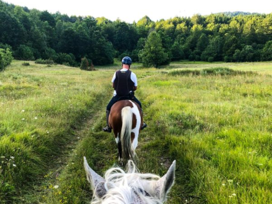 Podere Castellare - Eco Resort In Tuscany