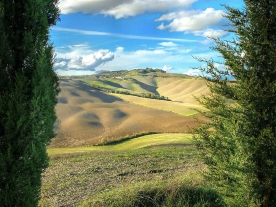 Agriturismo Fattoria La Pieve
