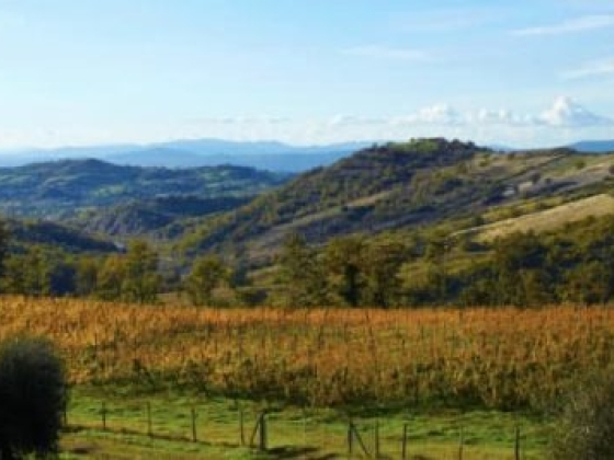 Agriturismo Fattoria La Pieve