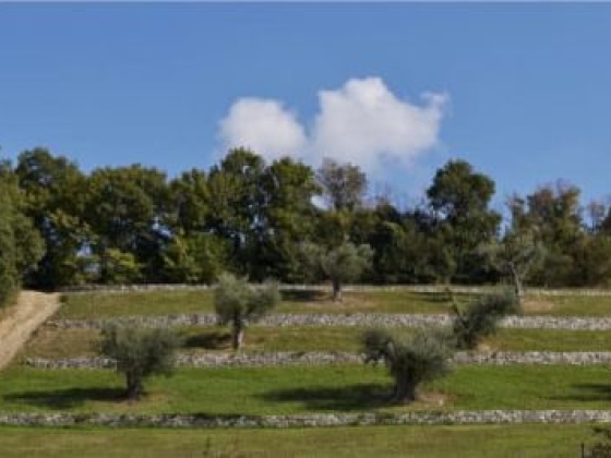 Agriturismo Fattoria La Pieve