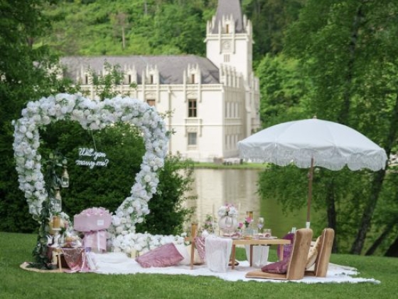 A charming picnic scene with a proposal backdrop.
