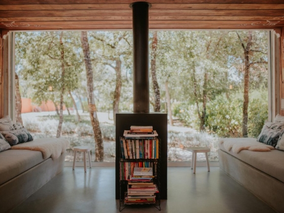 Bright room with a view of trees and a shelf of books.