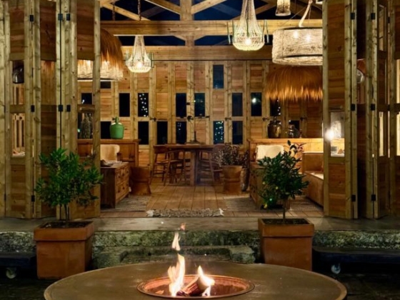 Inviting space with warm ambiance and natural decor