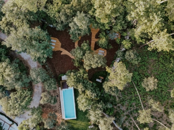 A serene landscape featuring a pool surrounded by trees.