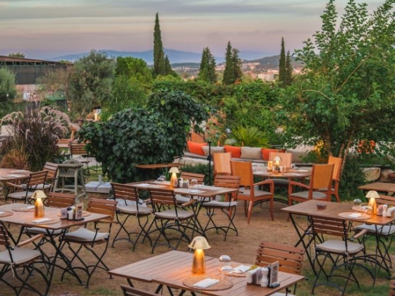 Peaceful restaurant patio with plants and soft lighting.