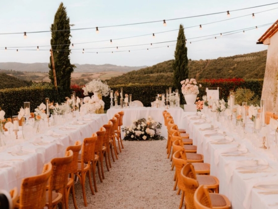 A beautifully arranged long table for an outdoor gathering.
