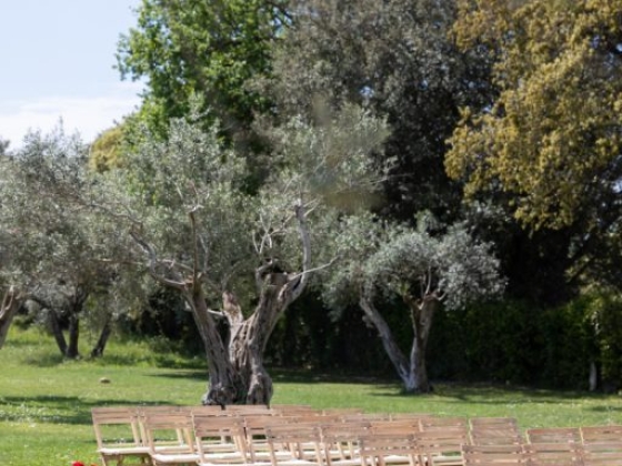 Chairs arranged for an outdoor ceremony surrounded by greenery.