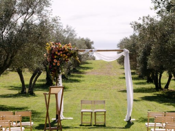 Charming wedding aisle framed by olive trees.