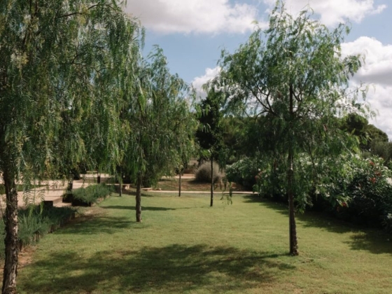 Serene garden landscape with vibrant greenery.