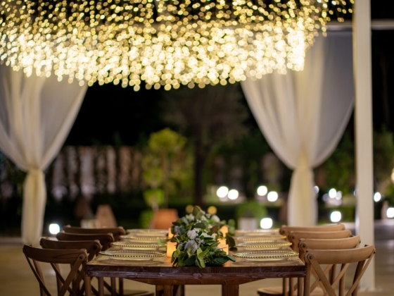 Romantic outdoor dining scene with lights and greenery.