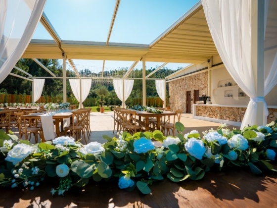 Elegant setup for an outdoor gathering or celebration.