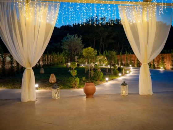 Serene garden setting illuminated by soft lights