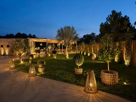 A beautifully lit garden setting at dusk.
