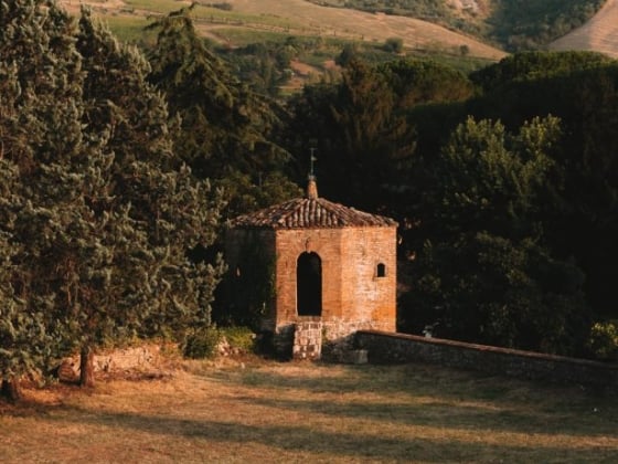 A romantic moment captured amidst scenic hills and trees