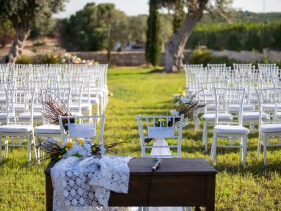 Beautifully arranged chairs for a wedding event.
