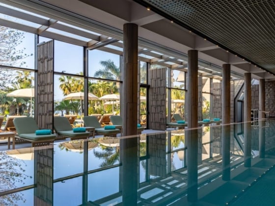 Elegant indoor pool with a view of the outdoors.
