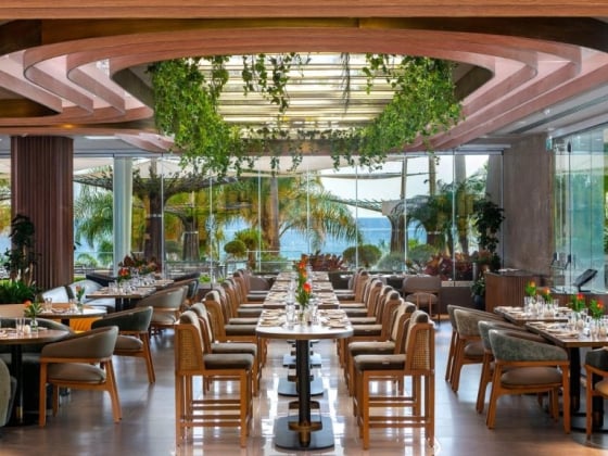 Elegant dining space with plants and sea backdrop.