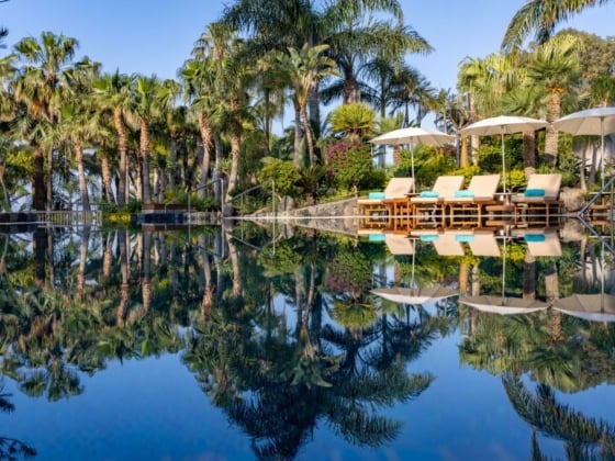 Serene pool reflecting palm trees and umbrellas