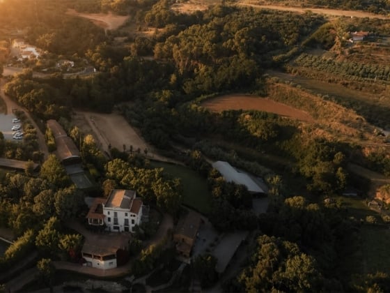 Scenic countryside with houses, trees, and fields at sunset.
