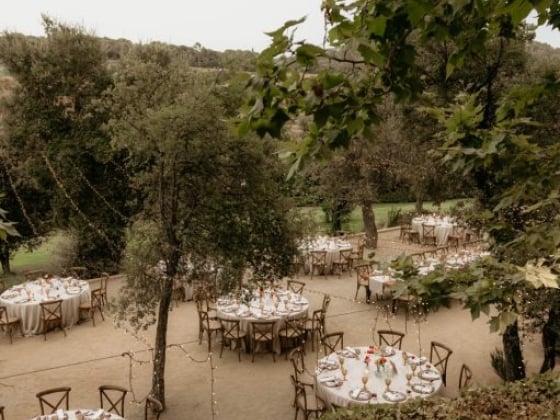 Charming garden setup for a gathering or event.