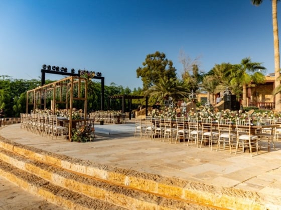 Beautifully arranged tables for an outdoor celebration