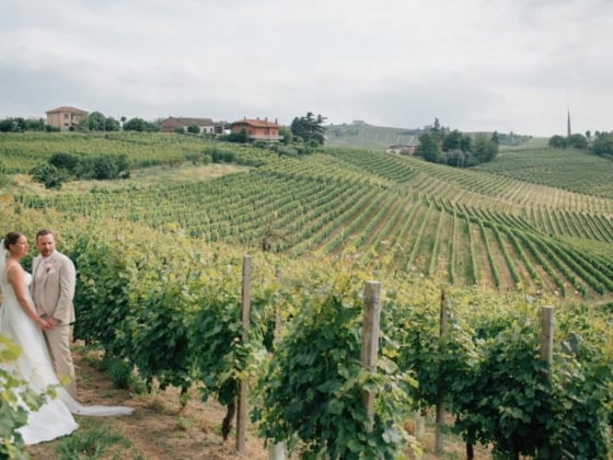 A romantic moment among lush grapevines.
