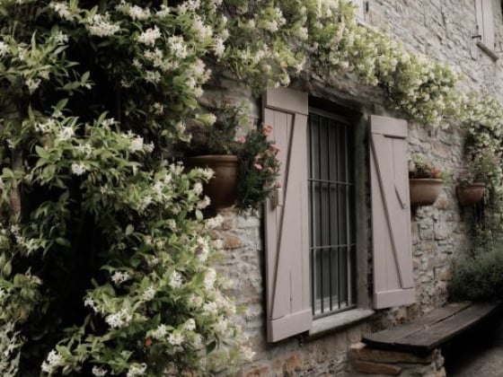A rustic cottage adorned with climbing flowers and greenery.