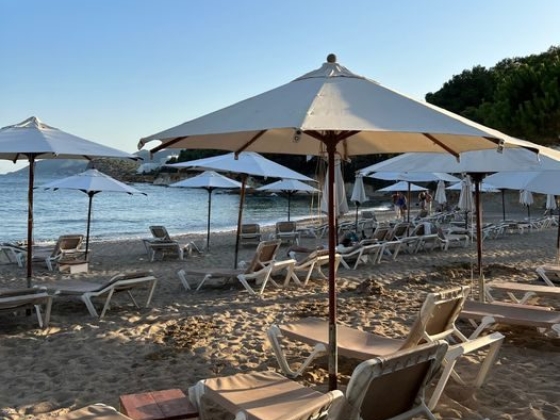 Pura Vida Beach Lounge Ibiza