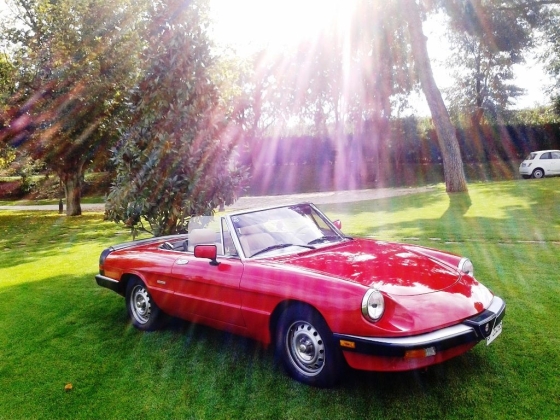 Canestri Autonoleggi – Car Hire Italy