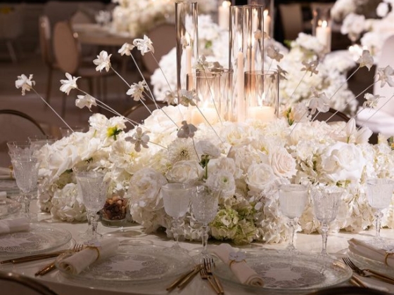 Aliana Events