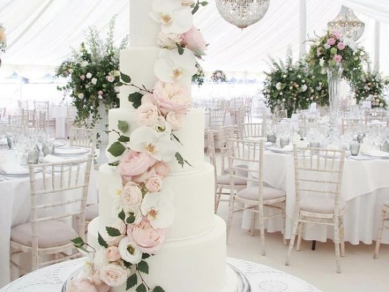 Couture Cakes