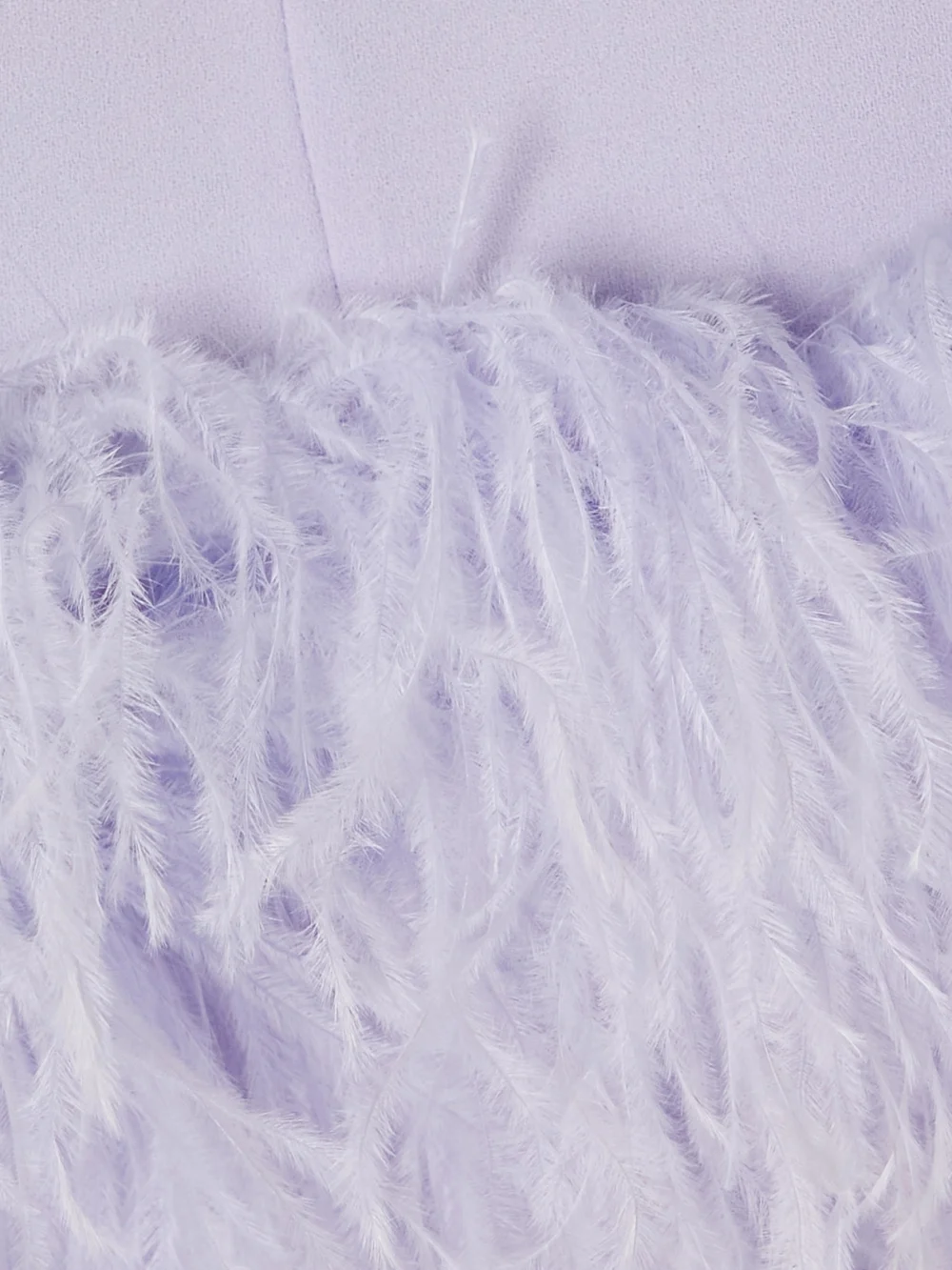 Close-up detail of the 16Arlington Poppy Feather-trimmed Crepe Camisole