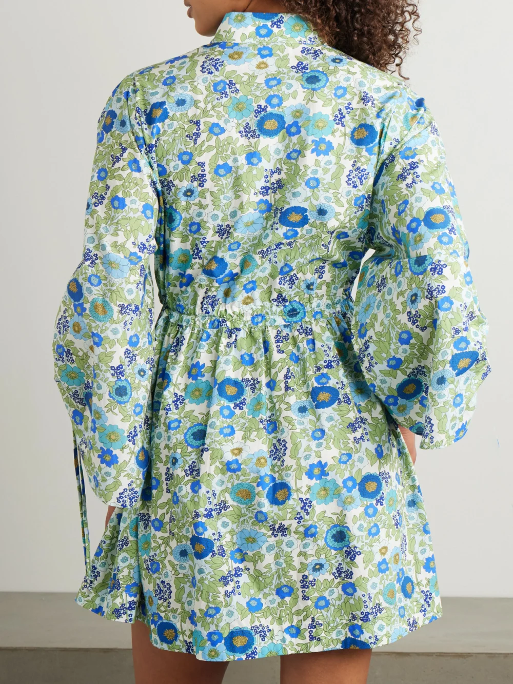 Back view of the Alémais Pam Floral-print Organic Cotton-poplin Mini Dress