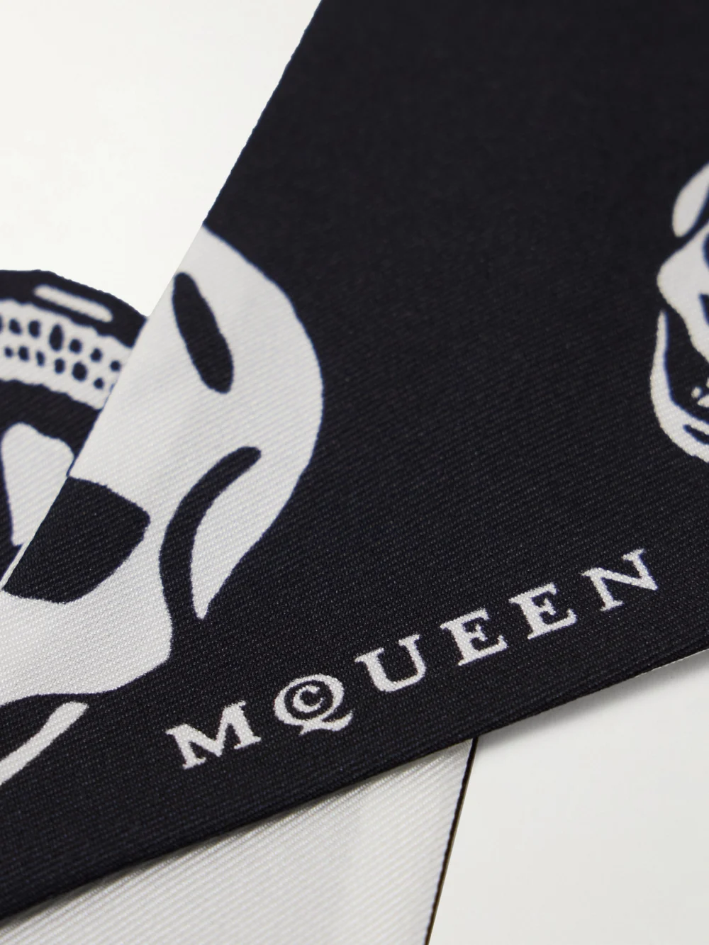Close-up detail of the Alexander McQueen Printed Silk-twill Scarf