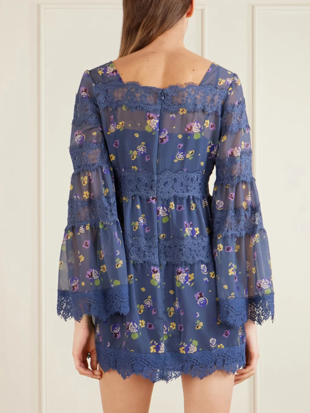 Back view of the Anna Sui Pleated Floral-print Lace-trimmed Chiffon Mini Dress