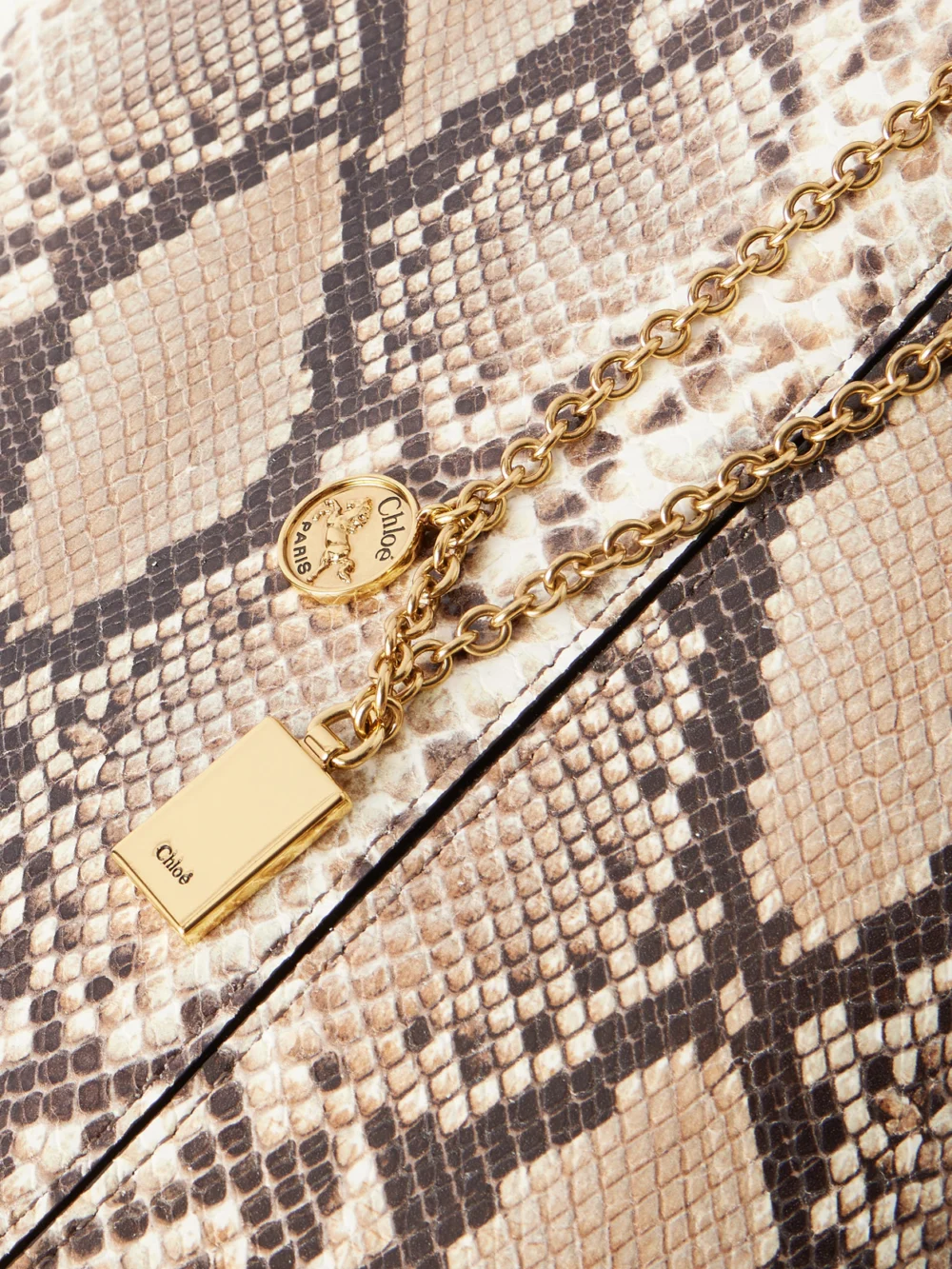 Close-up detail of the Chloé Spin Embellished Snake-effect Leather Tote Bag