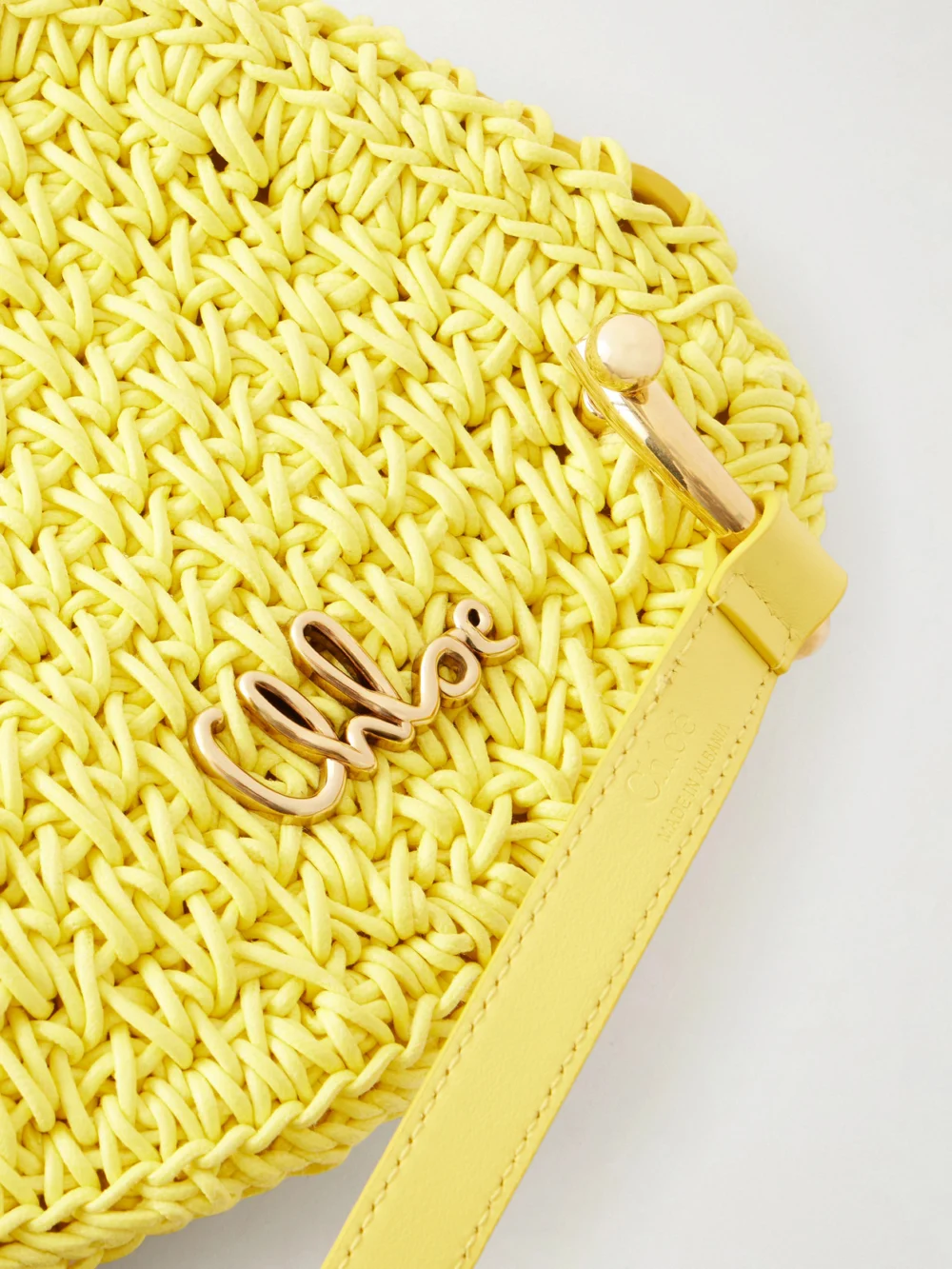 Close-up detail of the Chloé Tropicus Embellished Leather-trimmed Woven Shoulder Bag