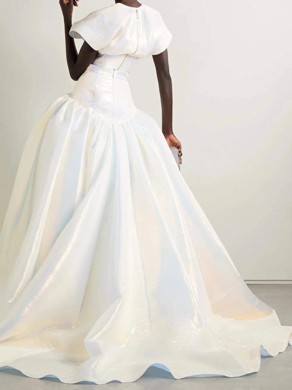 Back view of the Christopher John Rogers Pleated Iridescent Textured Silk-organza Maxi Skirt