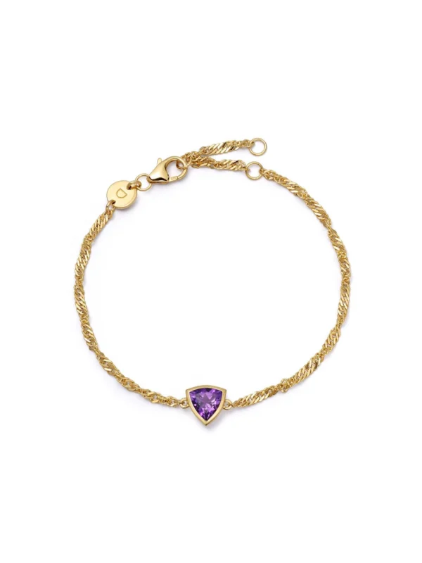 Daisy London Amethyst February Birthstone Charm Bracelet 18ct Gold Plate