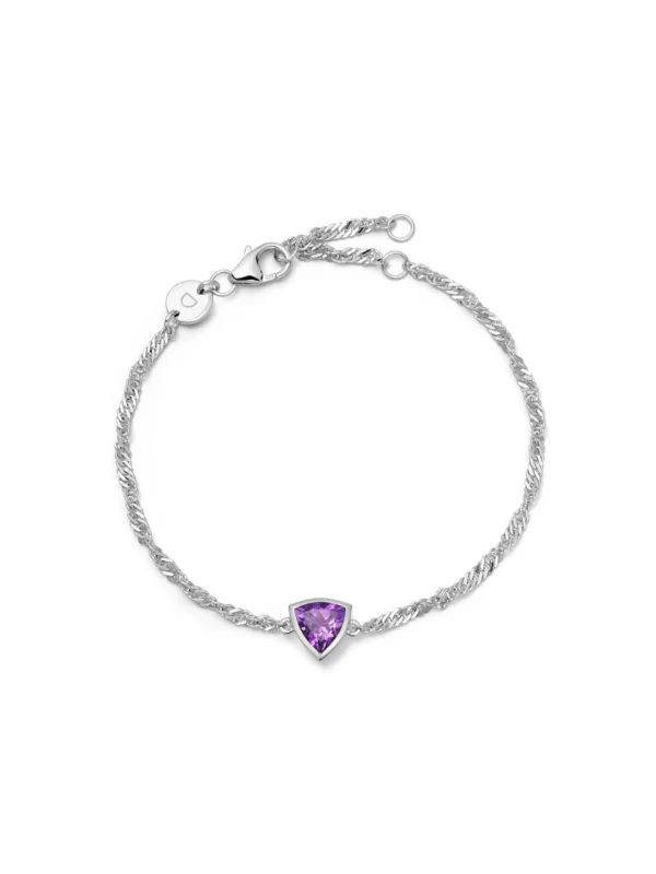 Daisy London Amethyst February Birthstone Charm Bracelet Sterling Silver