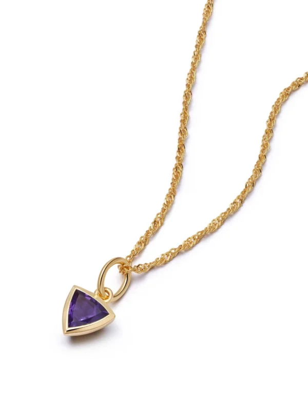 Daisy London Amethyst February Birthstone Charm Necklace 18ct Gold Plate