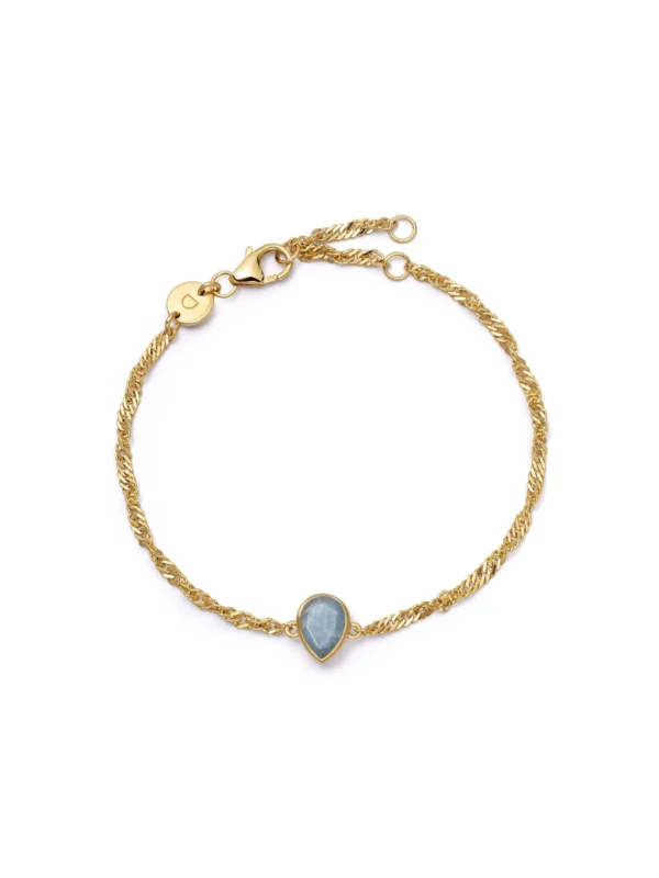 Daisy London Aquamarine March Birthstone Charm Bracelet 18ct Gold Plate